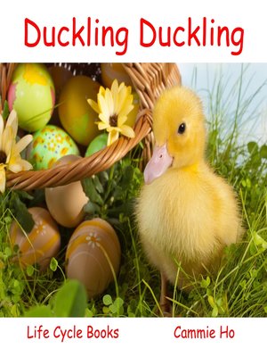 cover image of Duckling Duckling